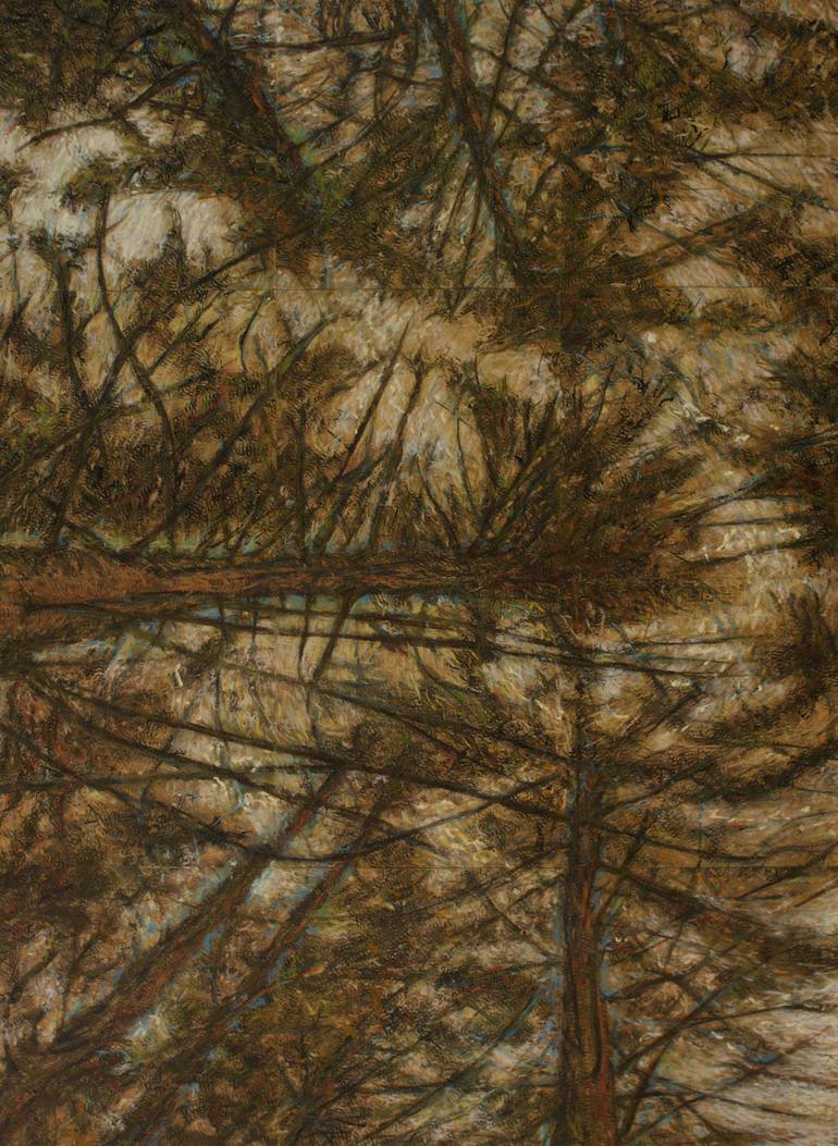 Original Figurative Nature Drawing by Wim Van Loon