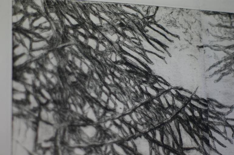 Original Expressionism Nature Printmaking by Wim van Loon