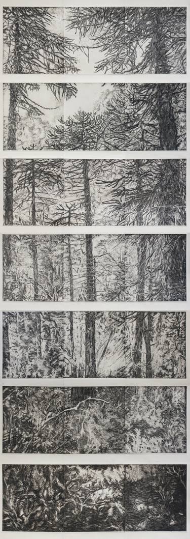 Original Expressionism Nature Drawings by Wim van Loon