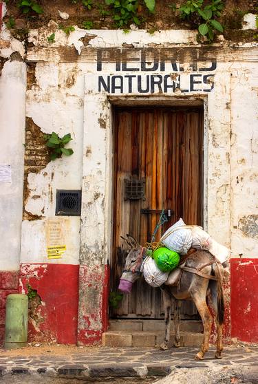 Print of Rural life Photography by Octavio Maya Castro
