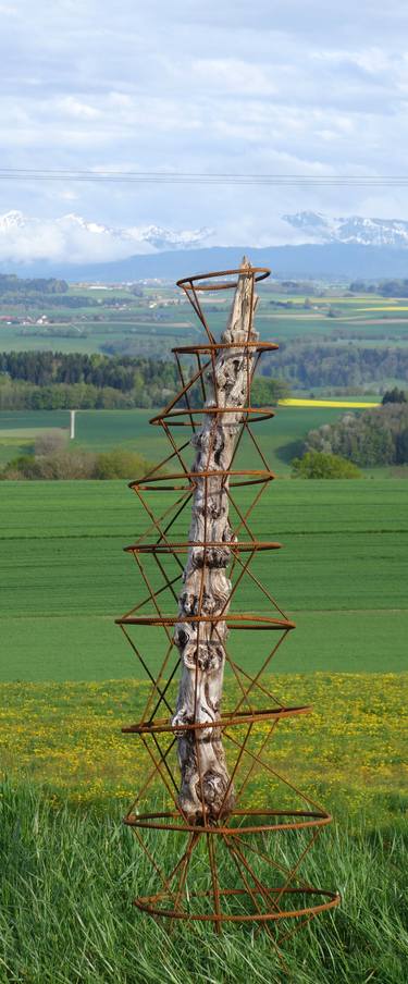 Original Nature Sculpture by Orianne Zanone