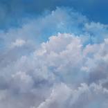 Collection Nature & Landscapes