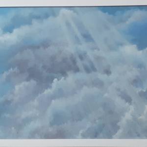 Collection Nature & Landscapes