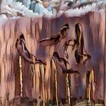 Collection Absolute Case / Digital