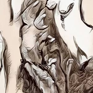 Collection Absolute Case / Digital