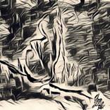 Collection Absolute Case / Digital