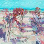 Turquoise Sky by Chrissie Havers