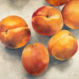 „Apricots” by Lidia Wylangowska