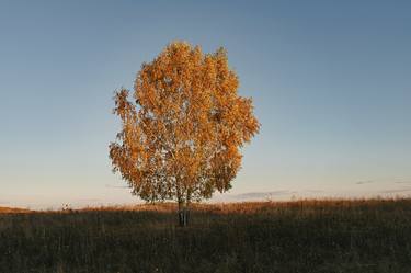 Print of Conceptual Landscape Photography by Dmytro Tolokonov