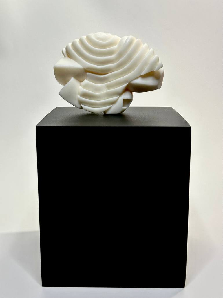 Original Other Abstract Sculpture by Cosme Herrera