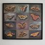 Oilpaint on wood. Saturnia pyri, Acherontia atropos, Attacus atlas.12 butterflyes. Framed.