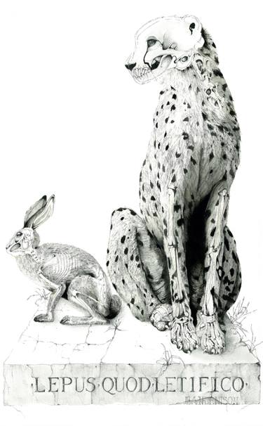 Original Animal Drawings by Jean Denison