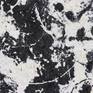 detail of Black and White Abstract