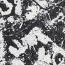detail of Black and White Abstract