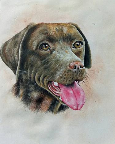 Print of Dogs Paintings by madhusudan v