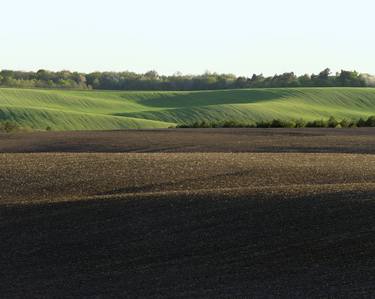 Green Field In Spring #1 thumb