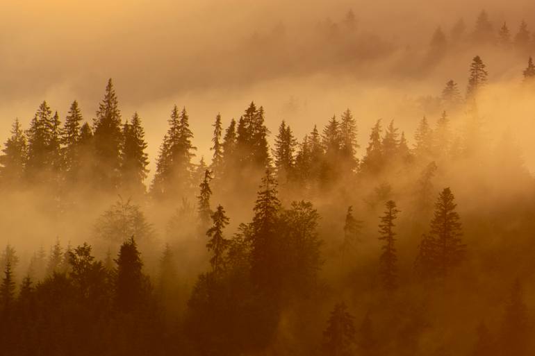 Original Contemporary Landscape Photography by Michael Lesiv