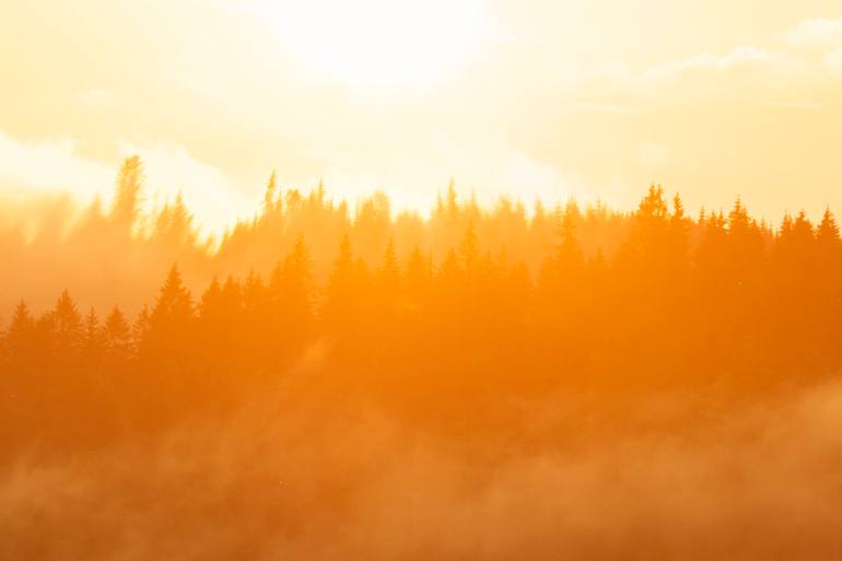 Original Contemporary Landscape Photography by Michael Lesiv