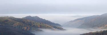 Golden Autumn Morning Panoramic thumb