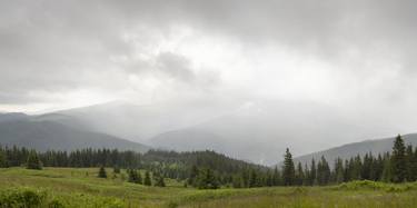 A Walk in the Summer Rain Panoramic thumb