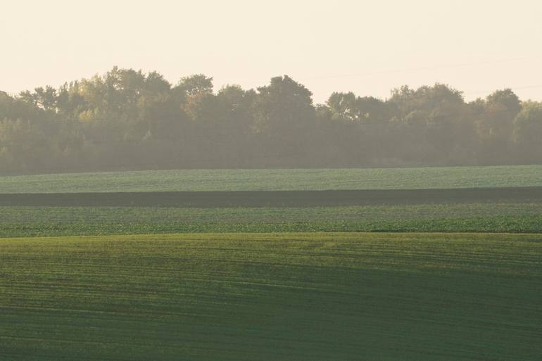 Original Contemporary Landscape Photography by Michael Lesiv