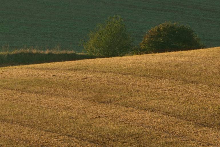 Original Contemporary Landscape Photography by Michael Lesiv