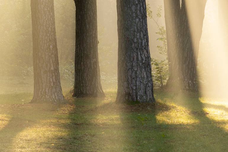 Original Contemporary Landscape Photography by Michael Lesiv