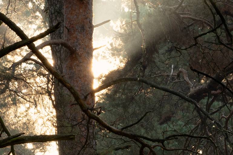 Original Contemporary Landscape Photography by Michael Lesiv