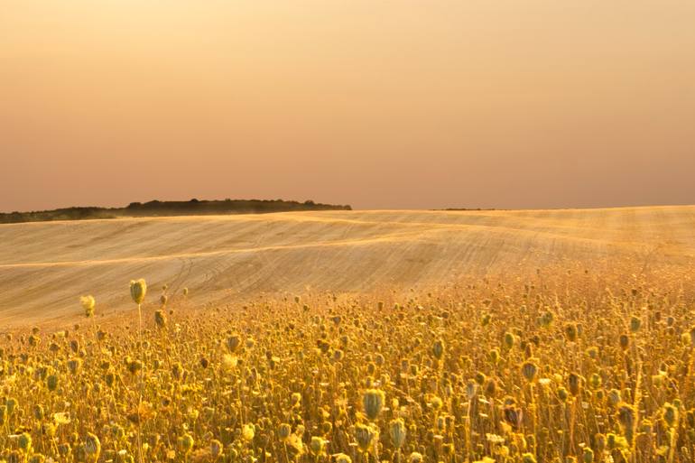 Original Minimalism Landscape Photography by Michael Lesiv