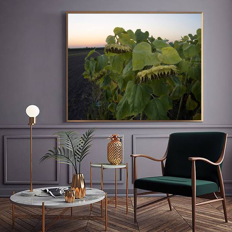 Original Contemporary Nature Photography by Michael Lesiv