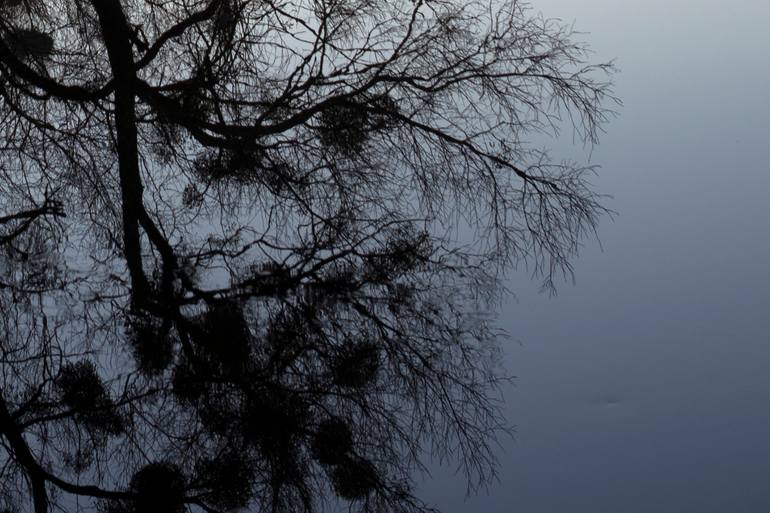 Original Contemporary Landscape Photography by Michael Lesiv