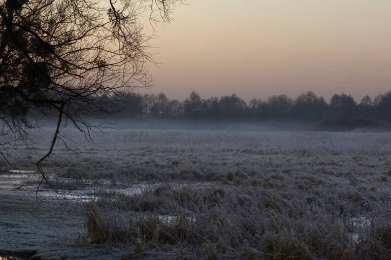 Original Contemporary Landscape Photography by Michael Lesiv