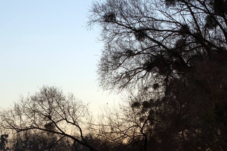 Original Contemporary Landscape Photography by Michael Lesiv