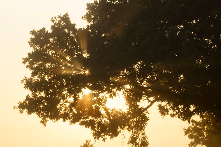 Original Contemporary Landscape Photography by Michael Lesiv