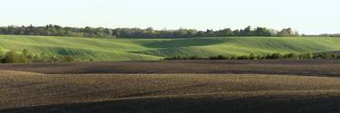 Green Field In Spring, Panoramic thumb