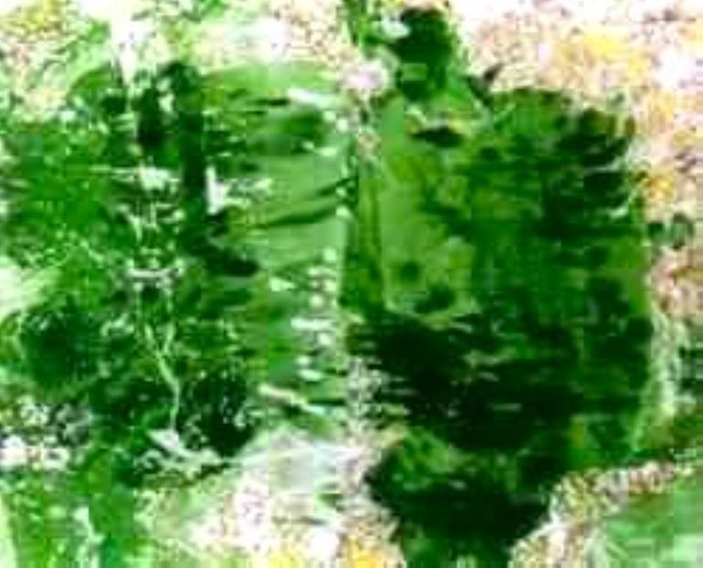 Original Contemporary Abstract Painting by Elissa Dorfman
