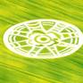 A crop circle in a field.