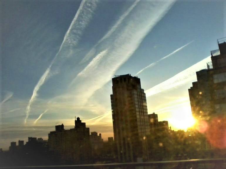 Original Documentary Other Photography by Elissa Dorfman