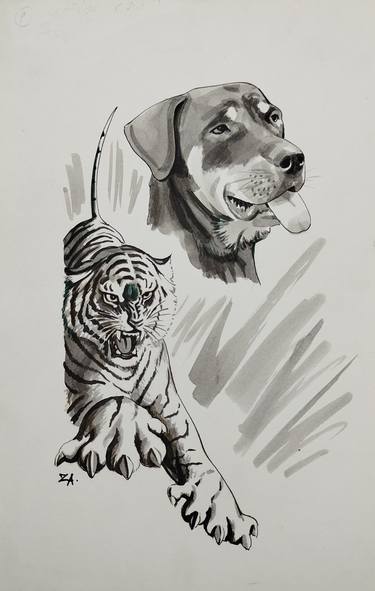 Original Illustration Animal Drawings by zohaib ahmed