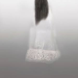 Collection New Photography