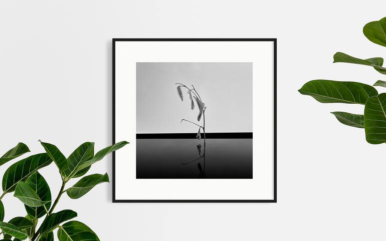 Original Conceptual Still Life Photography by Ernesto Navarro