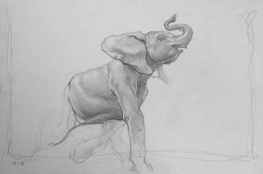 Original Animal Drawings by Isaac Pelepko