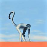 Monkey by Jeroen Allart