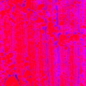 Collection Abstract RED