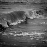 Collection Waves