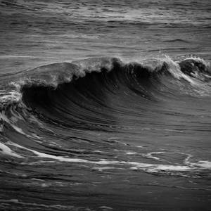 Collection Waves