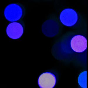 Collection Solar LED light dots