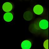 Collection Solar LED light dots