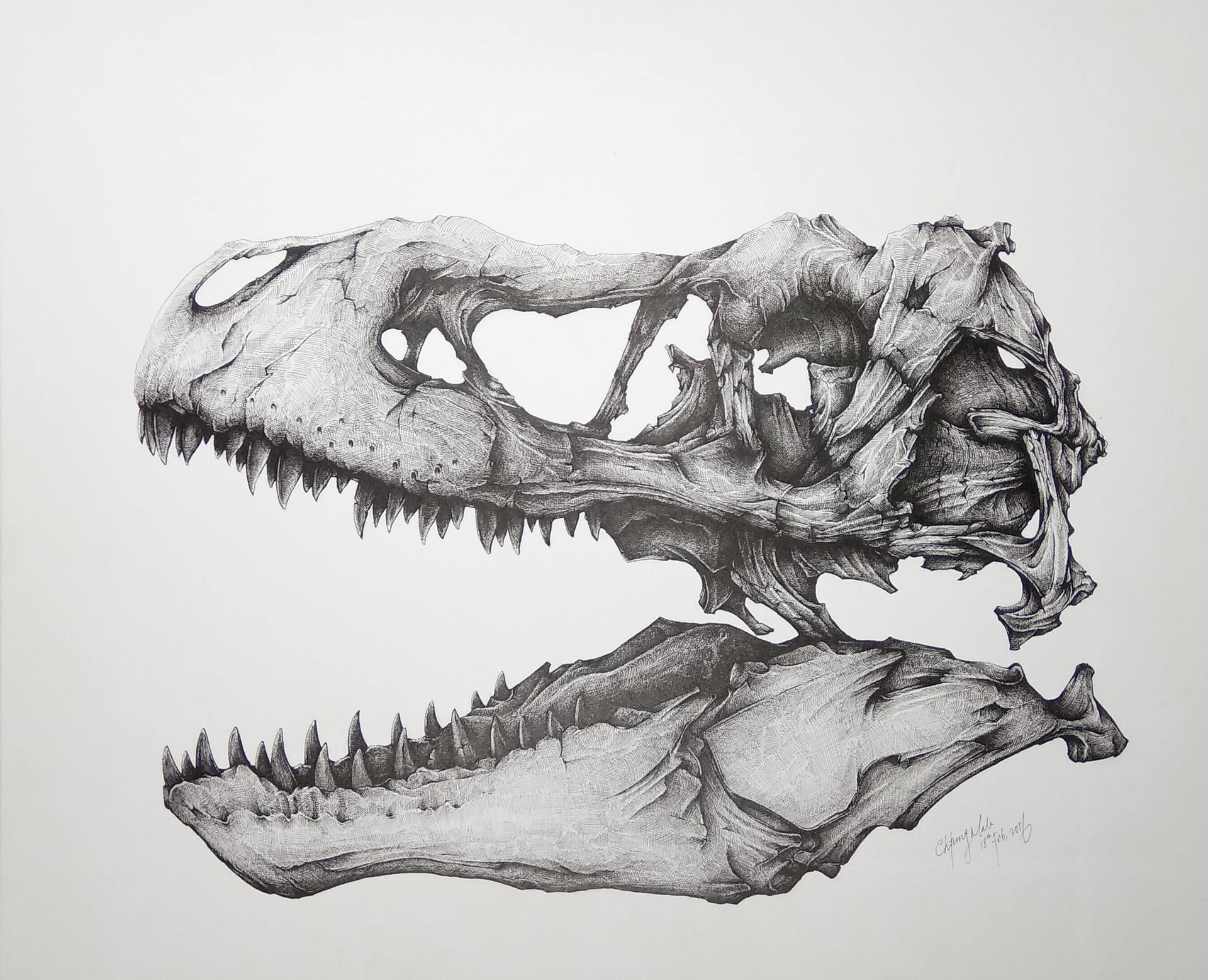 Trex Skoull Drawing By Chi Mak Saatchi Art