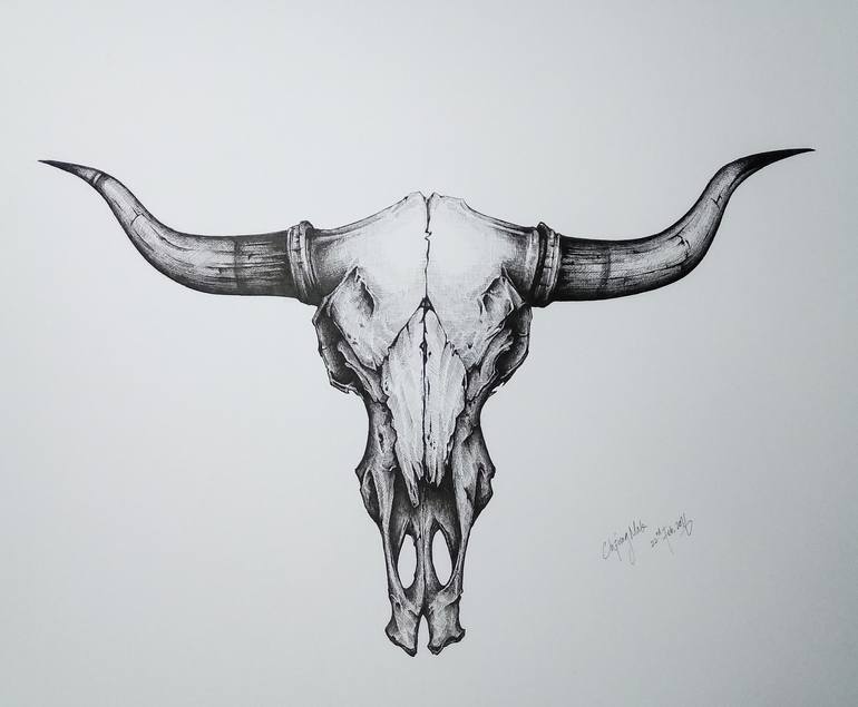 bull drawing images